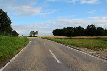 Fototapeta na wymiar Asphalt road among fields / Asphalt road receding into the distance