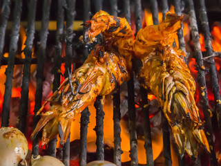 shrimp grilled