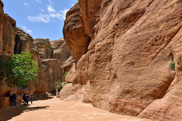 Siq canyon in Petra