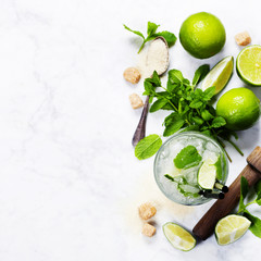 Fresh mojito drink