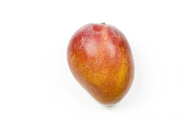 Ripe mange
