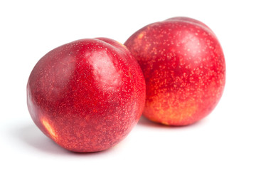 Nectarines