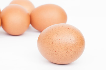 isolated brown egg