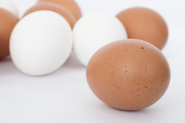 brown egg