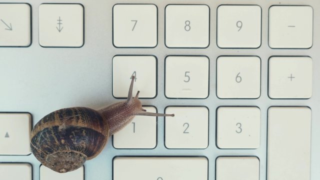 Snail over a keyboard