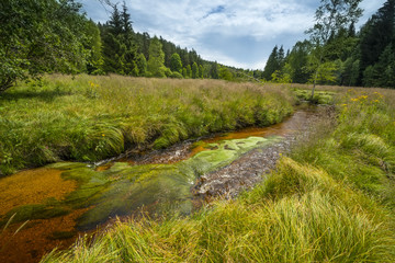 Fototapeta na wymiar little river, national park Sumava, Czech republic, Europe