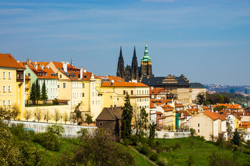 Fototapeta premium Prague panorama with St. Vitus Cathedral
