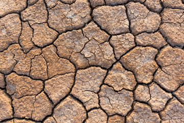 Dried land textured