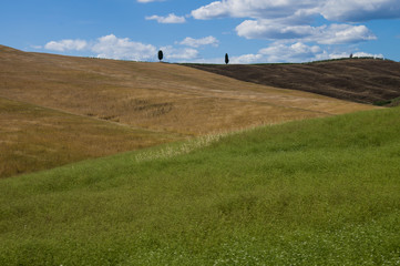 Val D'orcia. Chianti, Tuscany