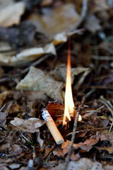 Waldbrand ausgelöst durch Unachtsamkeit, Zigarette
