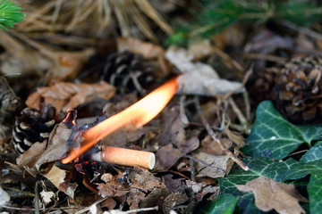 Waldbrand ausgelöst durch weggeworfene Zigarette
