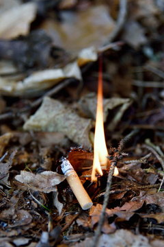 Waldbrand ausgel&ouml;st durch Unachtsamkeit, Zigarette
