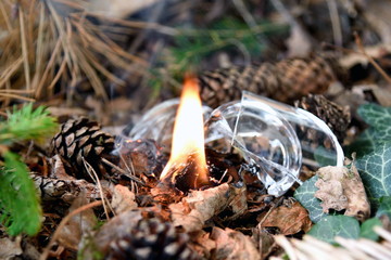 Waldbrand ausgelöst durch weggeworfenes Glas