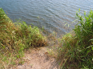 Берег озера © alias33