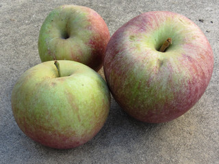 Ripe apples hand picked from the tree in a Tuscan farm