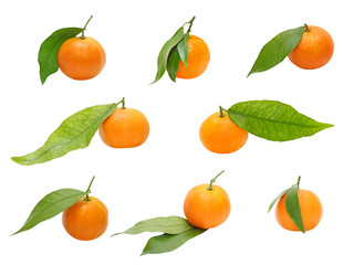 Set of ripe mandarines with green leaf taken closeup.Isolated.