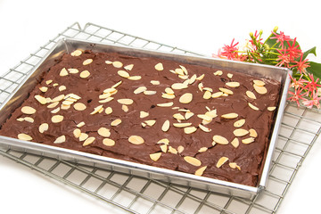 Fresh brownie in tray