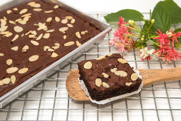Delicious Chocolate Brownies