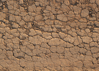 Desert crust soil