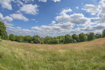 Parliament Hill in Hampstead Heath park, London, England, UK