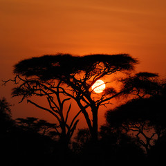 African sunset