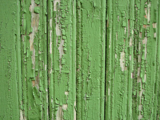 Fototapeta na wymiar Green peeling wooden wall as a background