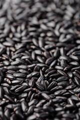 food background of black rice