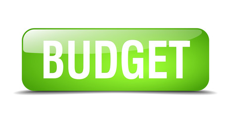 budget green square 3d realistic isolated web button