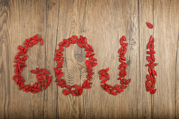 goji berries on a rustic wooden background
