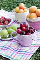 assorted fruits 