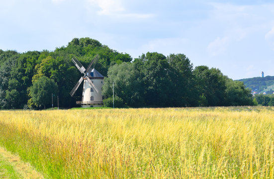 Gohliser Windmuehle.