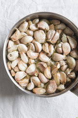 Garlic