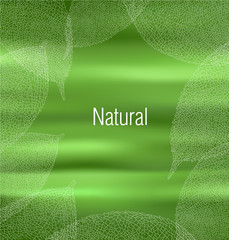 Abstract natural background. Vector illustration