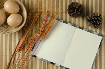 blank spiral notepad notebook