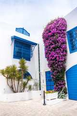 Sidi Bou Said, Tunisia