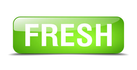 fresh green square 3d realistic isolated web button
