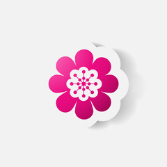 Realistic paper sticker: flowers. camomile