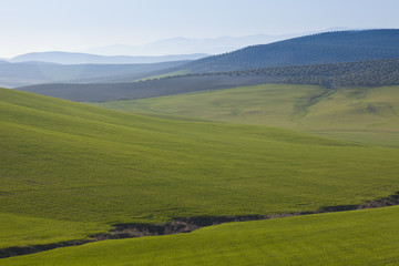 Obraz premium paisaje