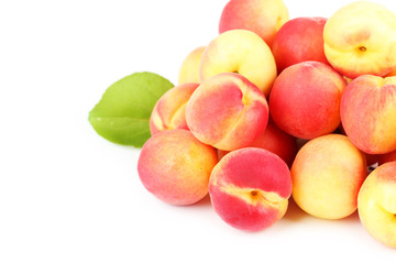 Fresh apricots on a white background