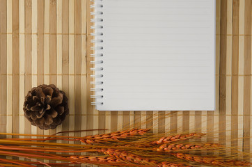 blank spiral notepad notebook