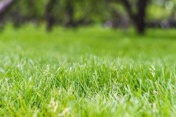 Abstract natural backgrounds with bokeh