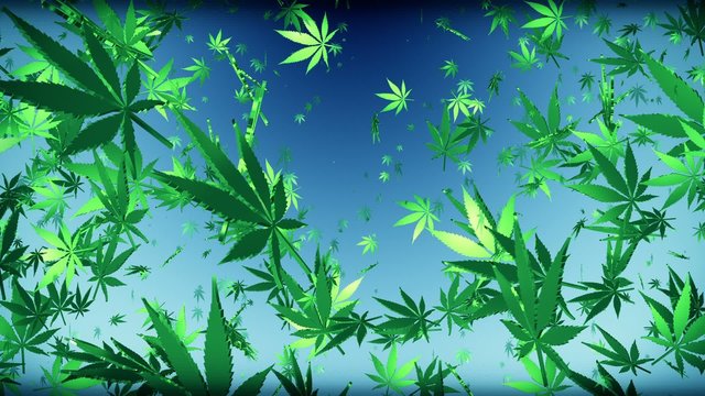 Flying cannabis leaves on dark blue
