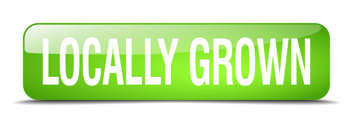 locally grown green square 3d realistic isolated web button