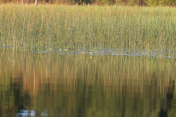 landscape lake for fishing