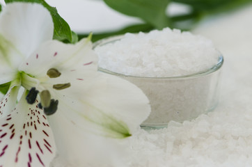 sea salt and flower