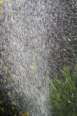 Sommerliche Erfrischung