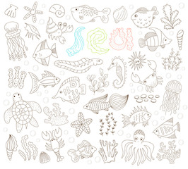 hand drawn underwater animals
