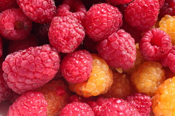 delicious raspberries