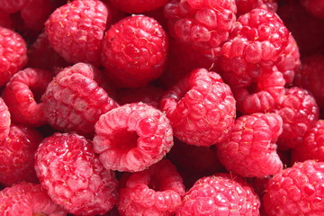 red raspberry
