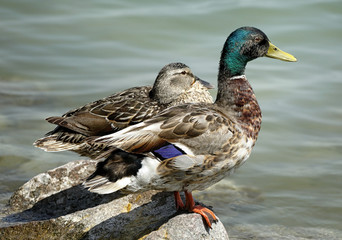 The Tihany peninsula in Hungary